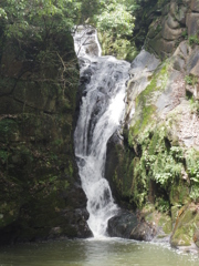 IMGP1199