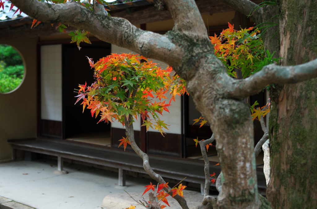 松陰神社にて⑦