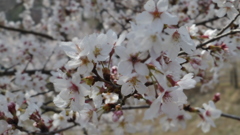 IMGP0134