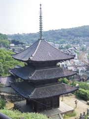 IMGP1747
