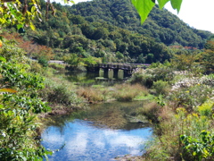 水辺にて③