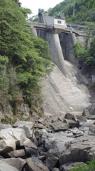 IMGP1071