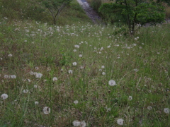 IMGP1380