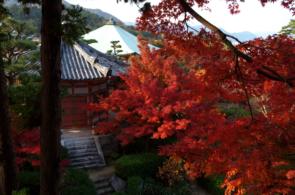 耕三寺にて⑫