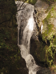 IMGP1187