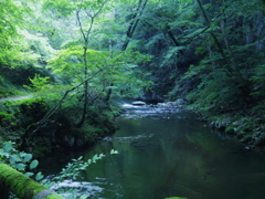 帝釈峡①