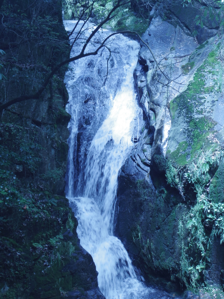 IMGP1174