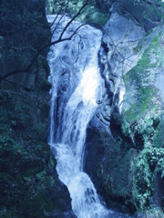 IMGP1174
