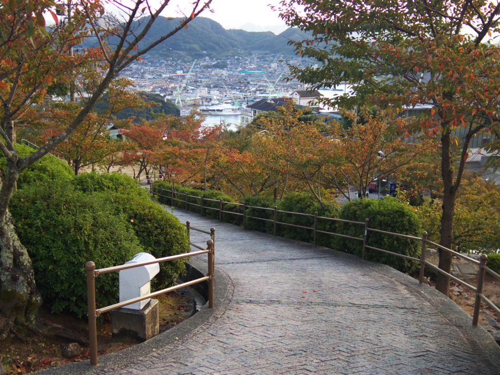 ほぼ山頂