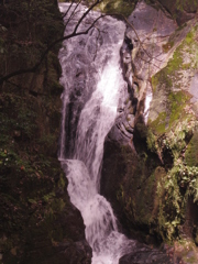 IMGP1179