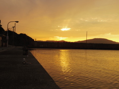 IMGP1844