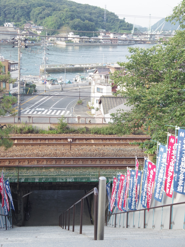 IMGP1676