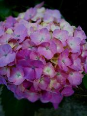 20140612_190147