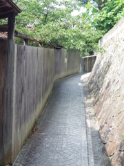 IMGP1748