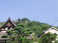 IMGP1686