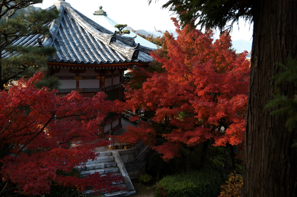 耕三寺にて⑩