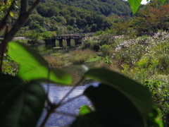 水辺にて④