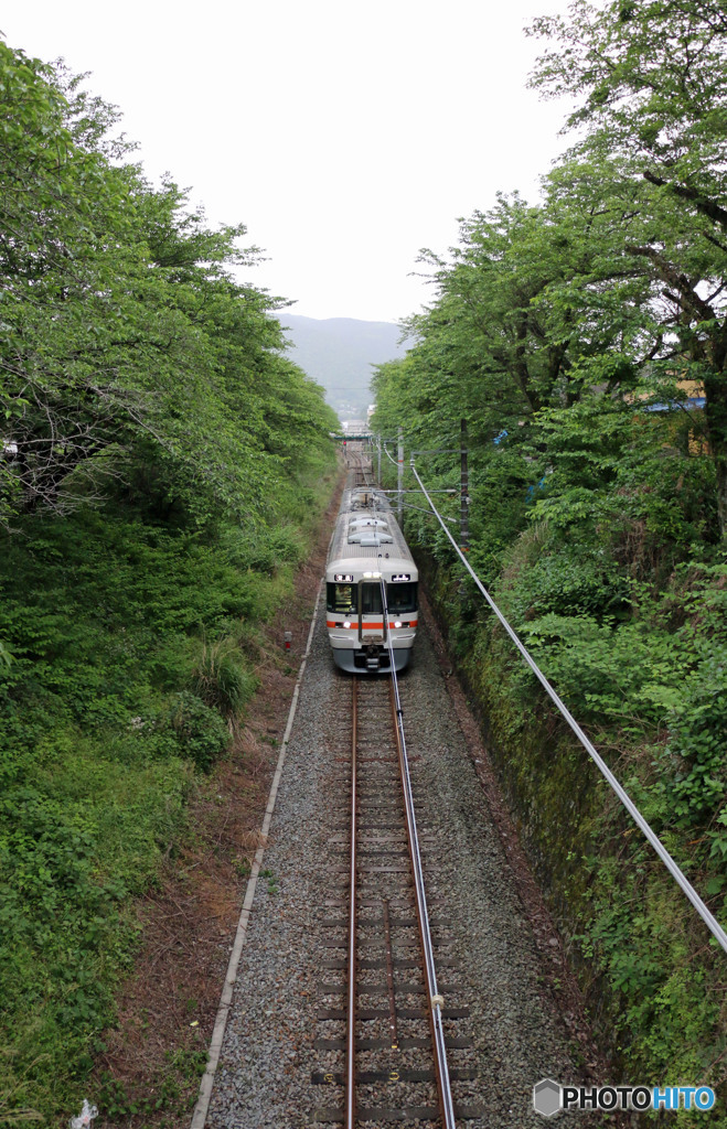 313系