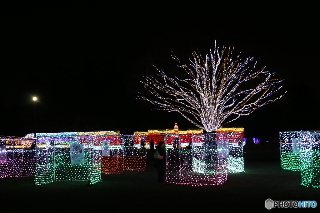 Winter Vista Illumination