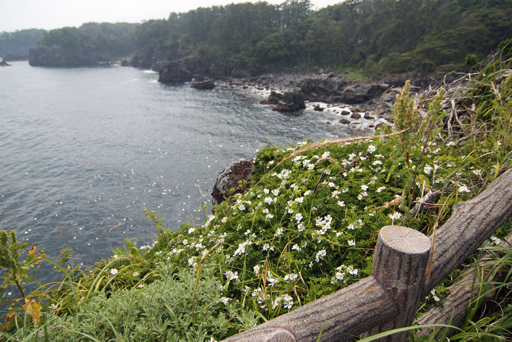 城ケ崎海岸