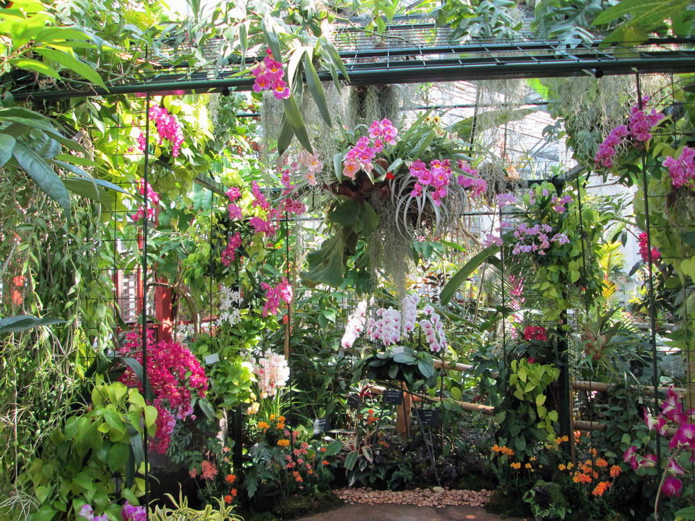 牧野植物園