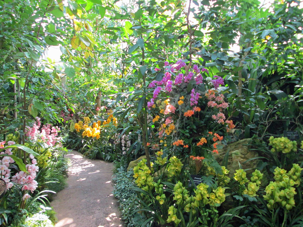 牧野植物園