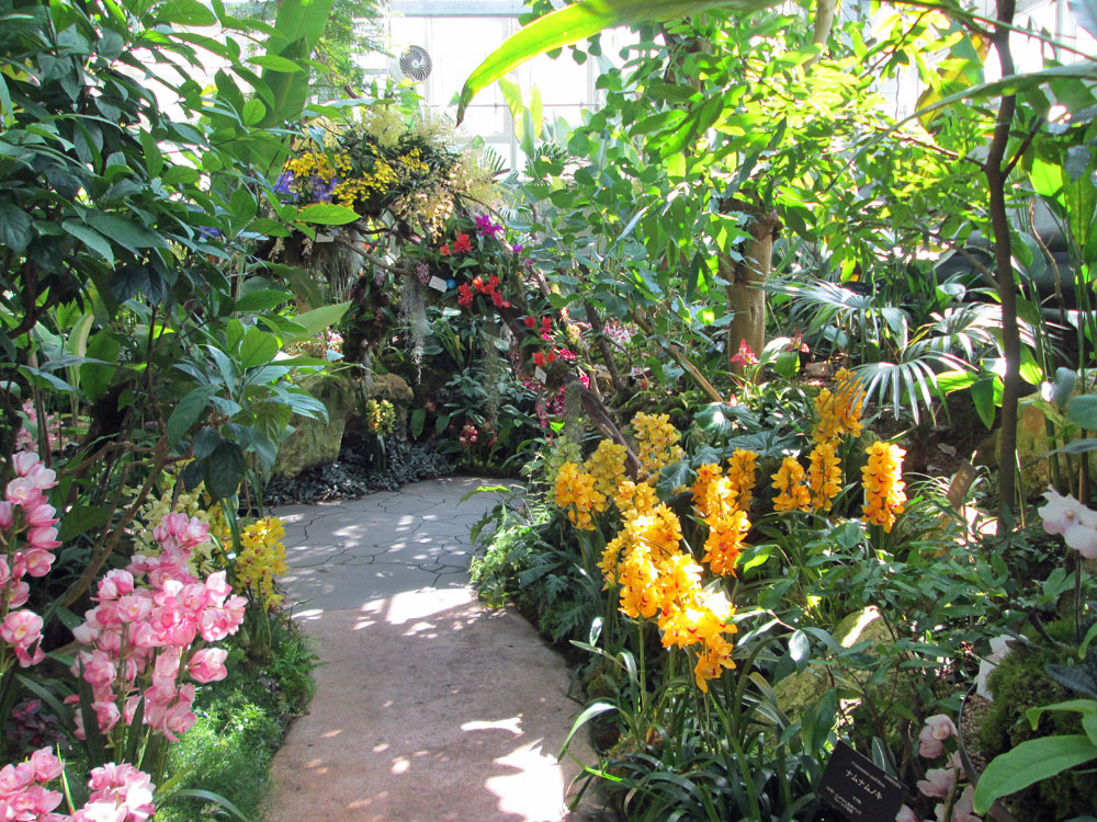 牧野植物園