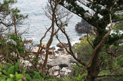 城ケ崎海岸