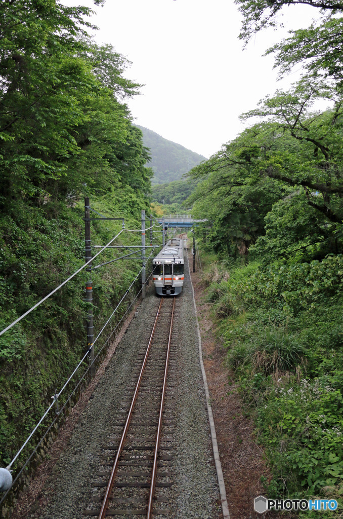 313系