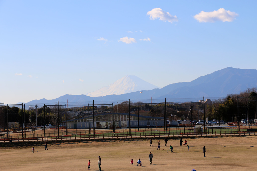 ゆとりの森公園からの富士山