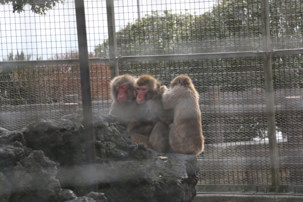 今日は皆寒い！