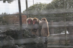 今日は皆寒い！