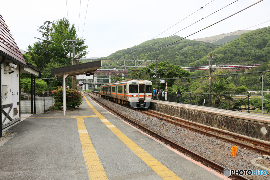 313系