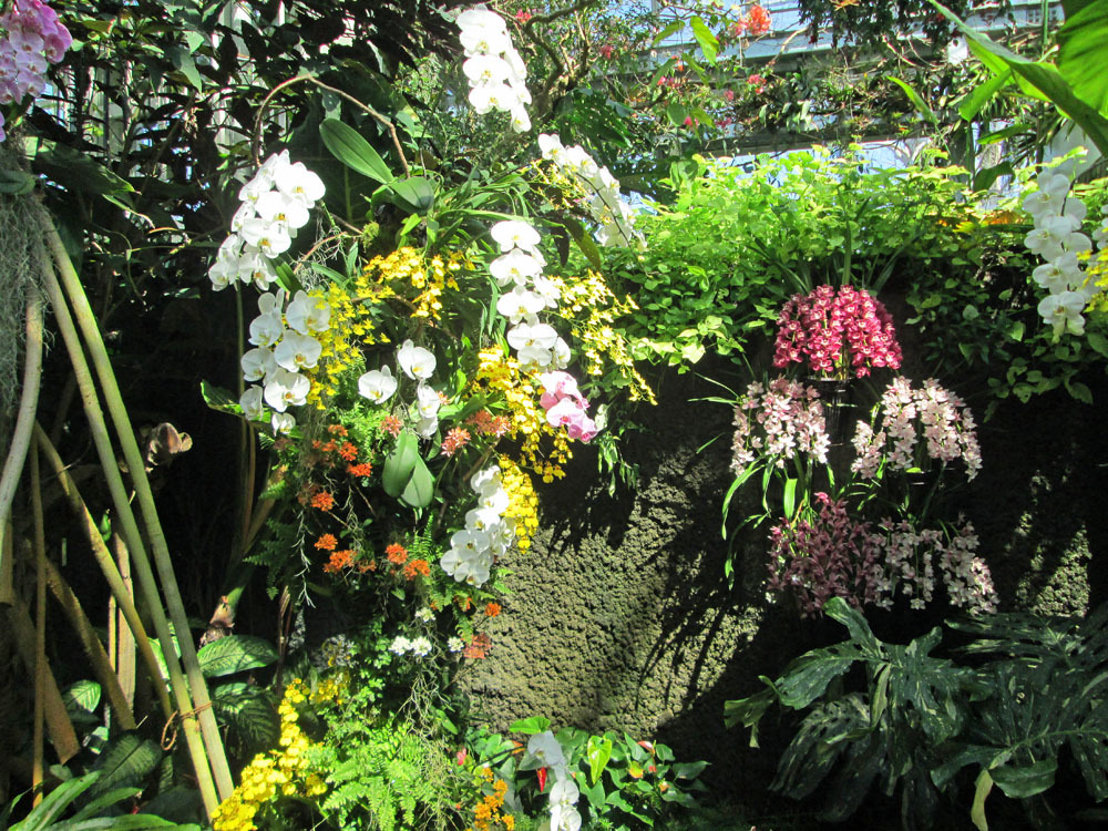 牧野植物園