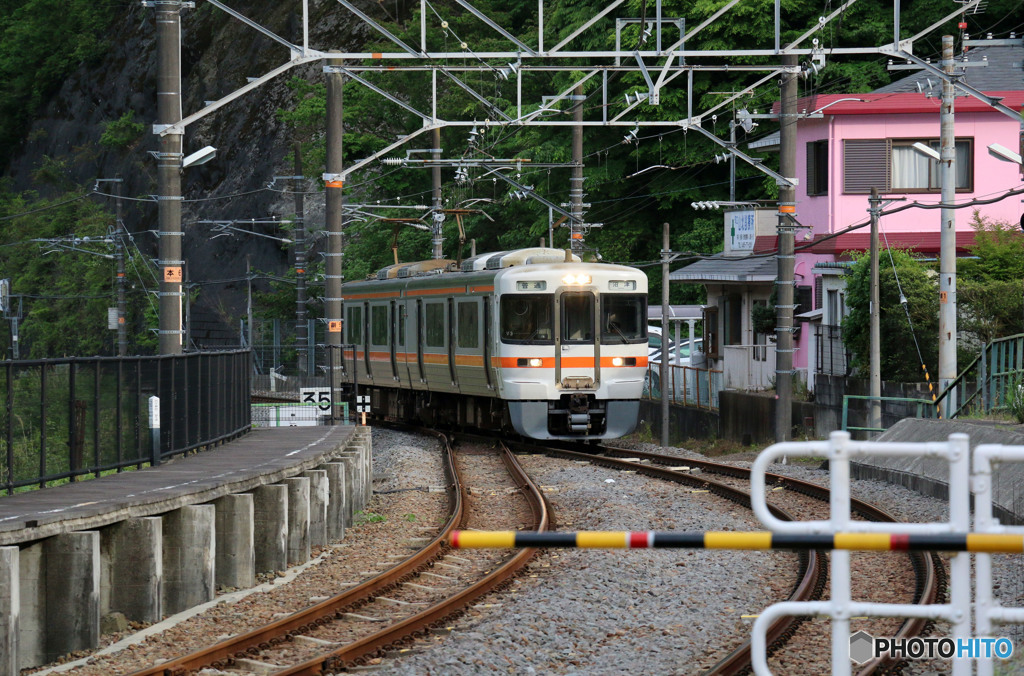 313系