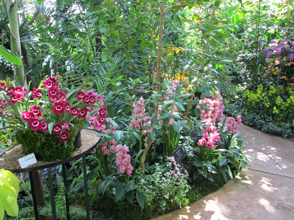 牧野植物園