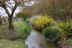 ♪春の小川は