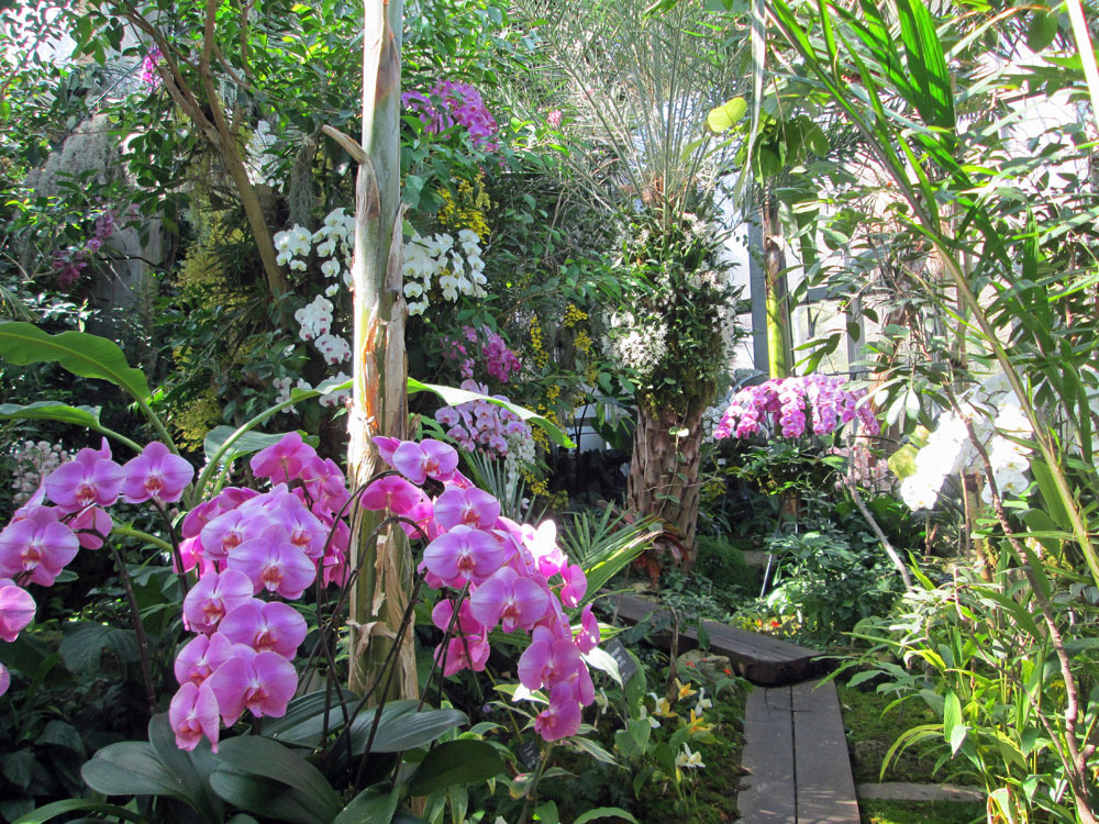 牧野植物園