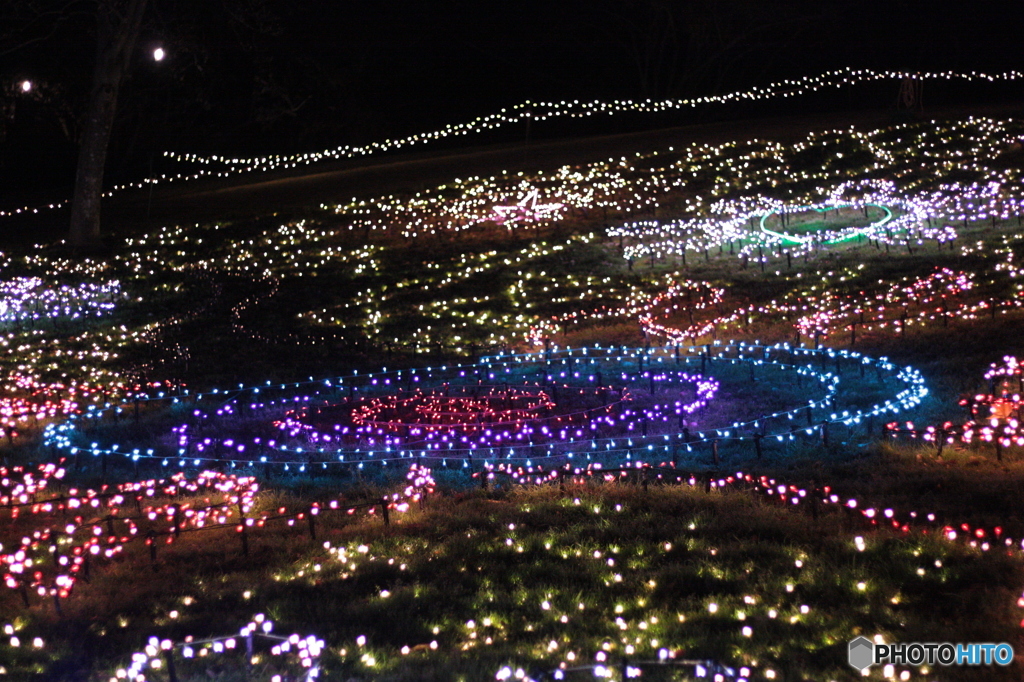 WinterVista Illumination