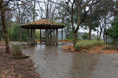 雨の公園