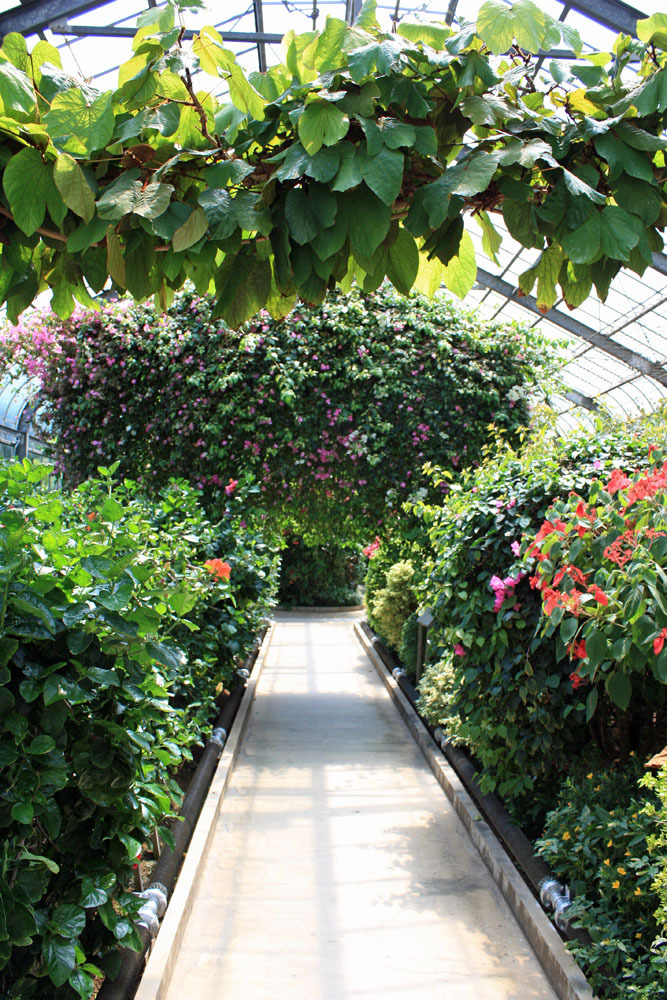 花木温室