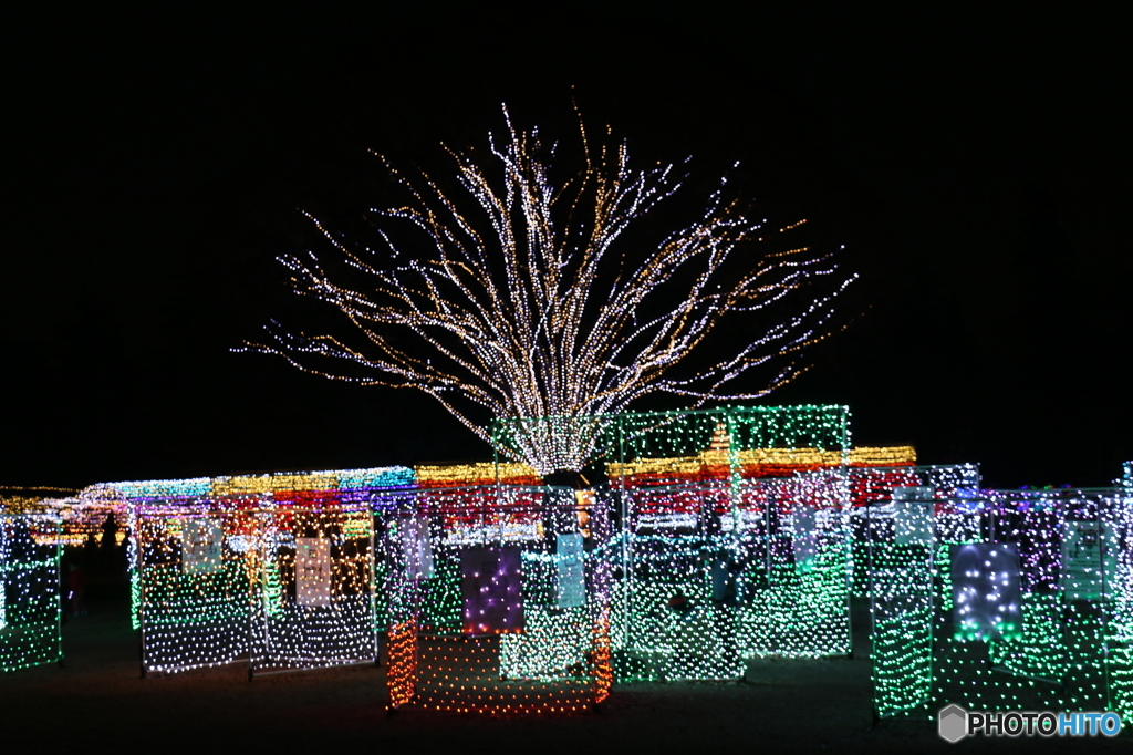 Winter Vista Illumination