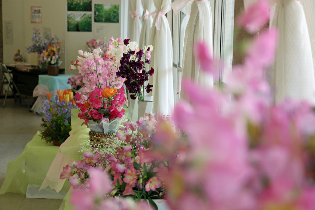 スイートピー展