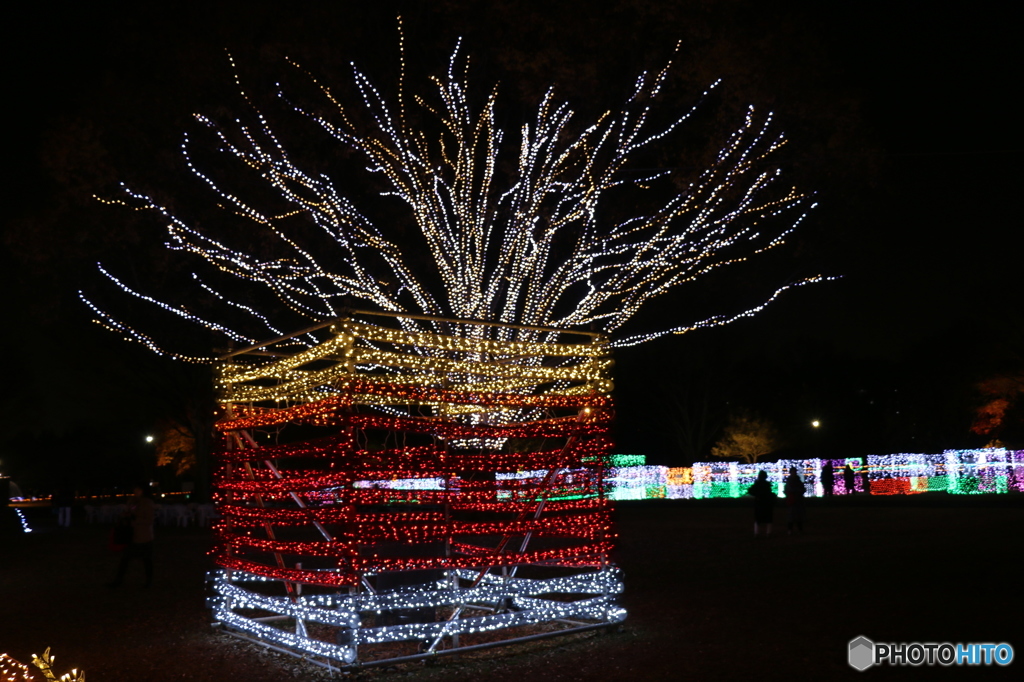 Winter Vista Illumination