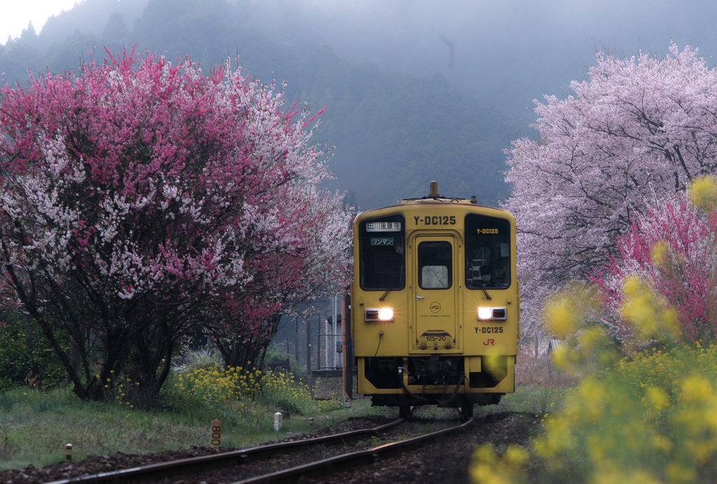 日田英彦山線＿SDIM5138