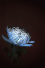 幻想