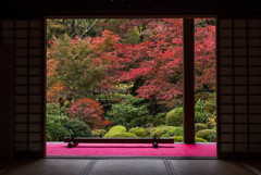 金剛輪寺紅葉１
