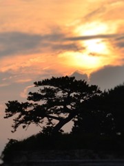 silhouette