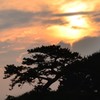 夕焼け空に浮かぶ松