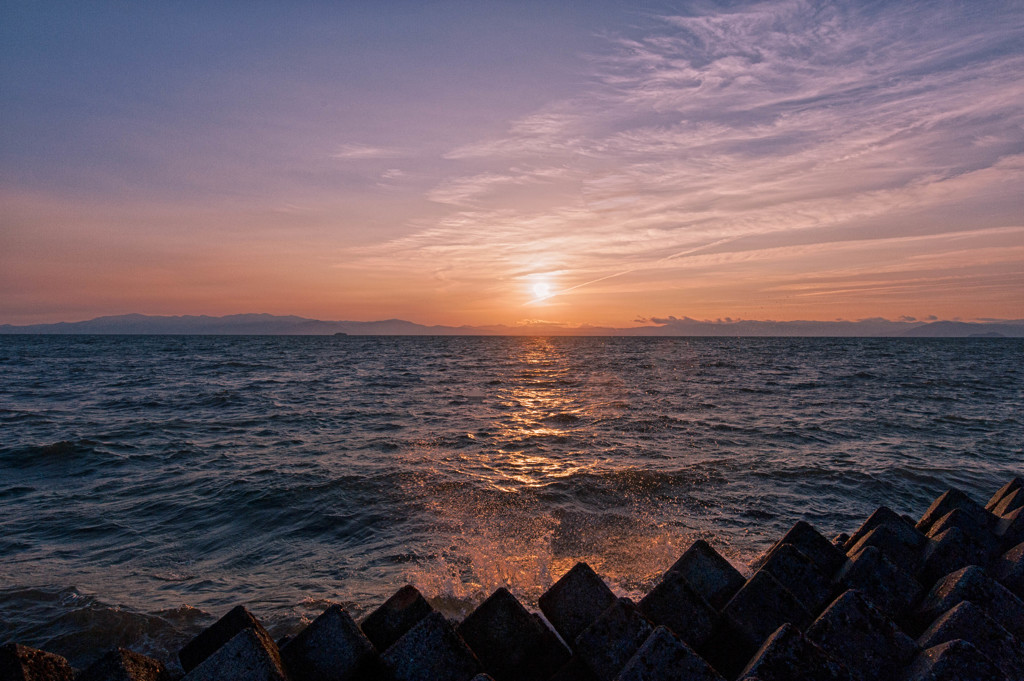 湖岸緑地　松原夕日